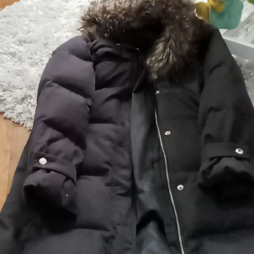 Jacket - Picture 2 of 8